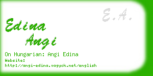 edina angi business card